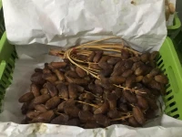 LOCATION DES CHAMBRES FROIDE A TEMPÉRATURE NÉGATIVE -25  غرف تبريد للكراء 