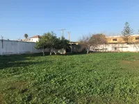 Location Terrain Blida Blida