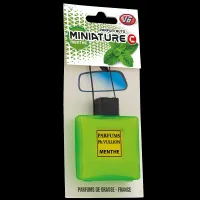 Miniature Carrée Menthe