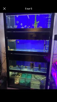 Aquarium AQUAONE eau de mer /eau douce
