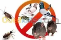 dératisation désinsectisation 3D