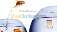 بجاية-أميزور-الجزائر-محاسبة-و-اقتصاد-assurances-toutes-branches