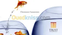 Assurances toutes Branches