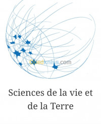 alger-birkhadem-algerie-ecoles-formations-correction-devoirs-cned