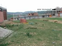 Vente Terrain Jijel Kaous