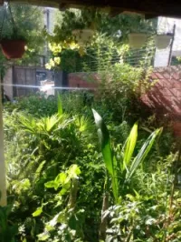 Jardinage