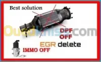 Fap adblue egr off programmation auto