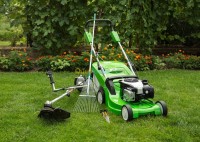 تيبازة-القليعة-الجزائر-تنظيف-و-بستنة-jardinage