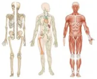 Cours de soutien sciences 4ème AM