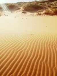 Vente Terrain Mostaganem Abdelmalek ramdane