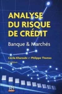 Livre  Analyse du risque de crédit