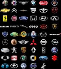 diagnostic auto a domicile 