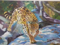 رسم ودهانات عصرية
