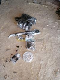 قطع-المحرك-fiat-cassette-injecteur-poullie-thermostat-collecteur-admission-تازولت-باتنة-الجزائر