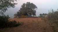تيبازة-الجزائر-أرض-byaa-ard-tybaz
