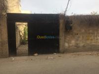 البليدة-بني-تامو-الجزائر-أرض-byaa-ard-alblyd-bny-tamo
