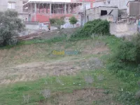 Vente Terrain Alger Douera