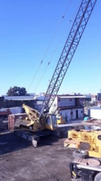 Location grue sur chenilles 65T