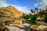 سكيكدة-الجزائر-حياكة-و-خياطة-photographe
