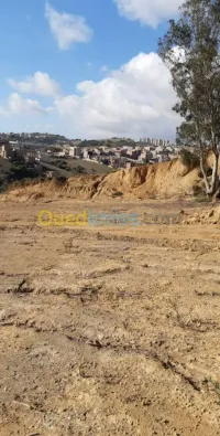 Cherche achat Terrain Boumerdès Boumerdes