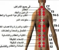 HIJAMA ET SOINS CORPORELS  FEMMES