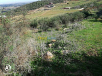 terrain-vente-blida-bouinan-algerie