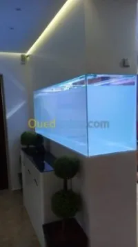 Montage et aménagement d'aquarium 