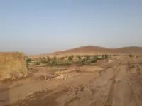 Vente Terrain Agricole Biskra El hadjeb