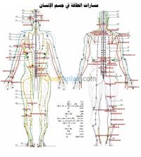 الجزائر-بوروبة-طب-و-صحة-hijama-et-chiropractic
