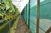 Filet brise vente / شبكة حماية المحاصيل الزراعية ضد الرياح