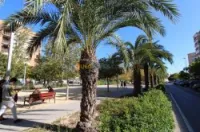 Vente Appartement F3 Espagne