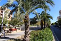 apartment-sell-f3-espagne-etranger-algeria