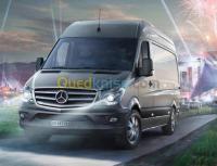 عين-الدفلى-الجزائر-نقل-و-ترحيل-transport