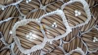 الجزائر-عين-بنيان-توريد-الطعام-و-حلويات-gateaux