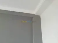 Placo-déco, peinture revetment murale.