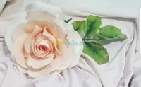 Formations roses en pâte à sucre 