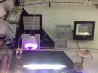 Électricité générale 