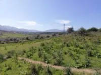 Vente Terrain Jijel Kaous