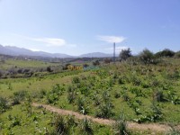 أرض-بيع-جيجل-قاوس-الجزائر