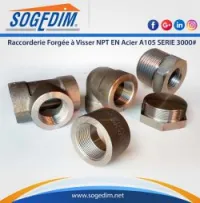 Raccorderie Forgée à Visser NPT EN Aci