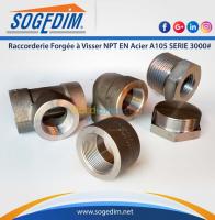 alger-birtouta-algerie-industrie-fabrication-raccorderie-forgée-à-visser-npt-en-aci