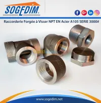 Raccorderie Forgée à Visser NPT EN Aci