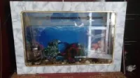 aquarium plasma
