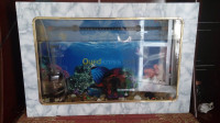 decoration-amenagement-aquarium-plasma-mohammadia-alger-algerie