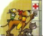 consultation,vaccination,chirurgie