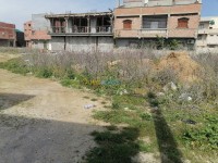 الجزائر-وادي-السمار-أرض-byaa-ard-aljzaer-oady-alsmar