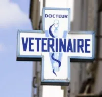 MEDECIN VETERINAIRE
