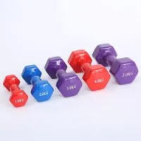 Haltère pour fitness et musculation