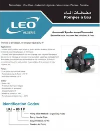 Pompe d'arrosage Jet en acier LEO