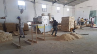 setif-algerie-industrie-fabrication-des-palettes-en-bois